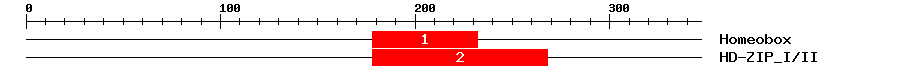 Signature Domain