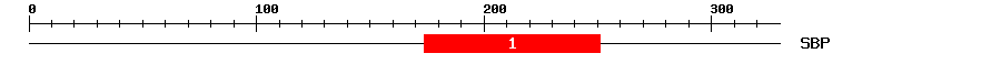 Signature Domain