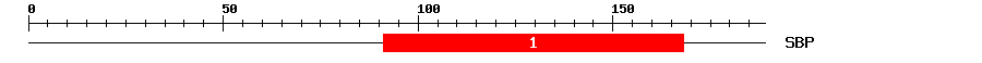 Signature Domain