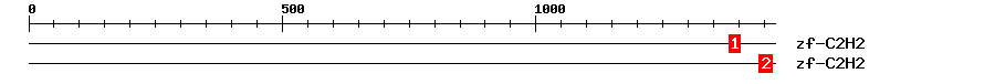 Signature Domain