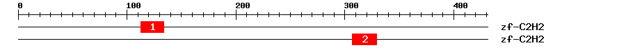 Signature Domain