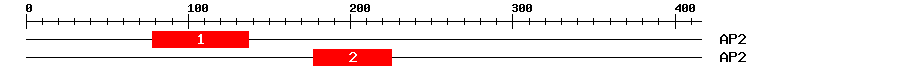 Signature Domain