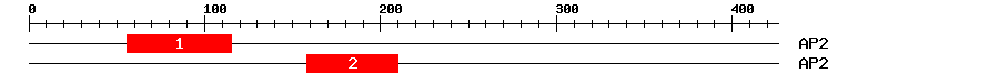 Signature Domain