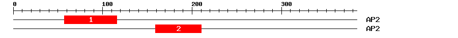 Signature Domain