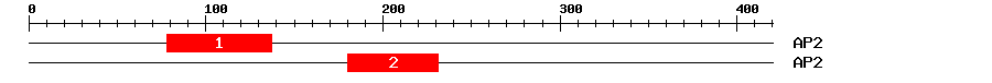 Signature Domain