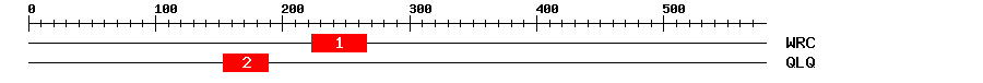 Signature Domain