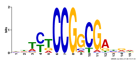 Motif logo