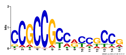 Motif logo