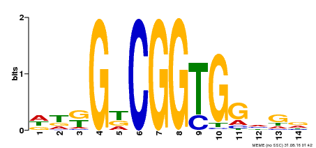 Motif logo