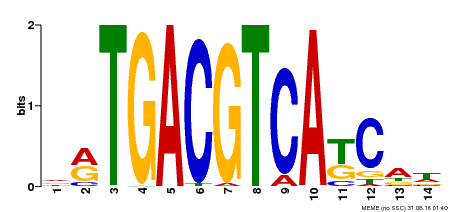 Motif logo