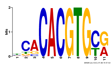 Motif logo