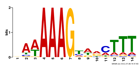 Motif logo