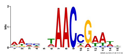 Motif logo
