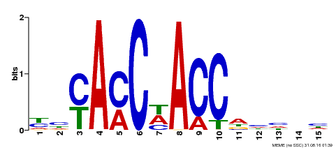 Motif logo