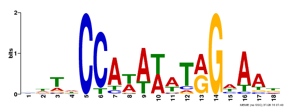 Motif logo