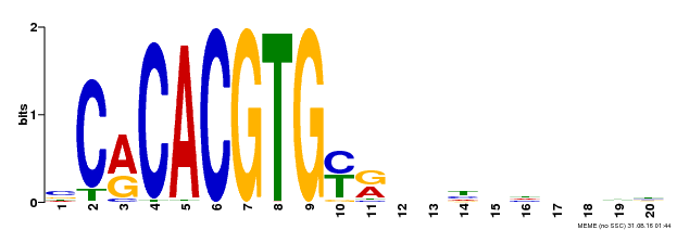Motif logo