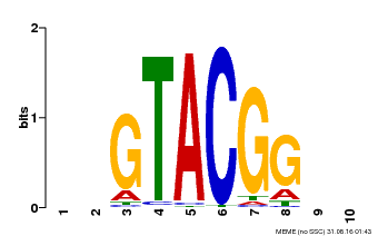 Motif logo