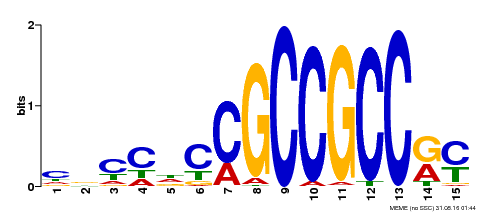 Motif logo