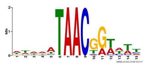 Motif logo