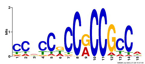 Motif logo