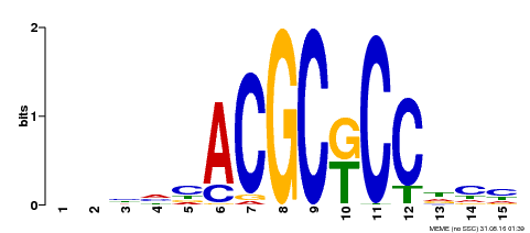 Motif logo