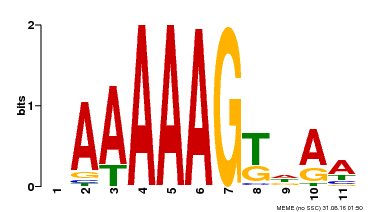 Motif logo