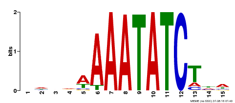 Motif logo
