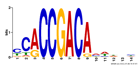 Motif logo