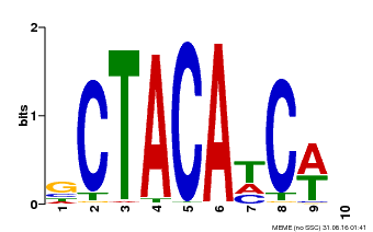 Motif logo