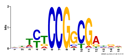 Motif logo