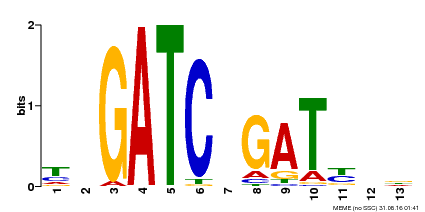 Motif logo