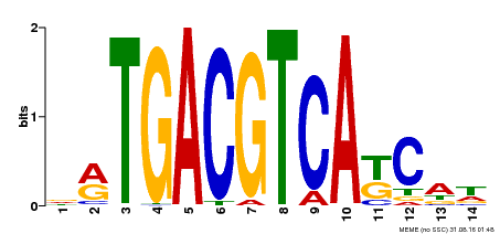 Motif logo