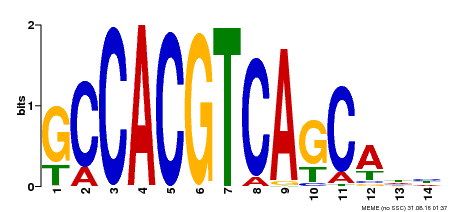 Motif logo