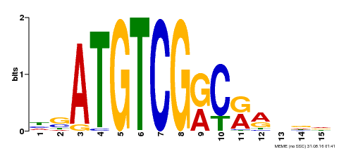 Motif logo