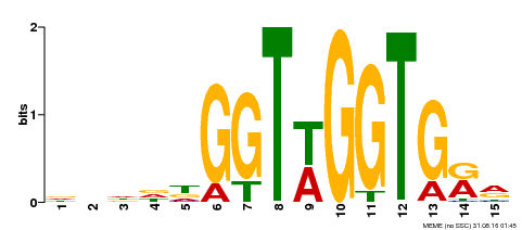 Motif logo