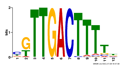 Motif logo