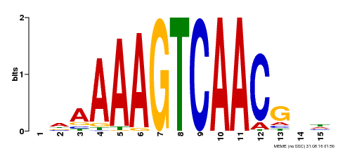 Motif logo