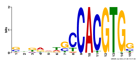 Motif logo