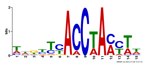 Motif logo