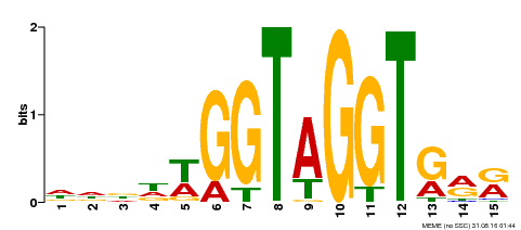 Motif logo