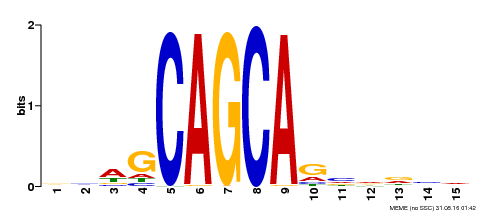 Motif logo