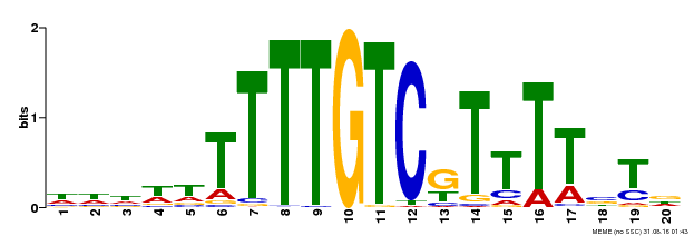 Motif logo