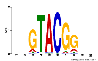 Motif logo
