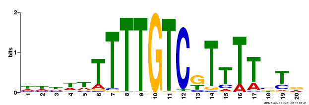 Motif logo