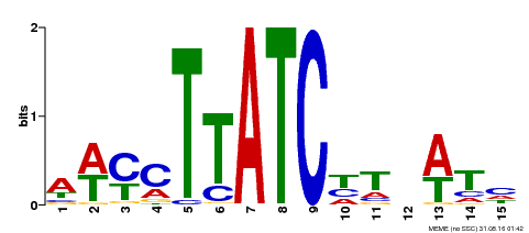 Motif logo