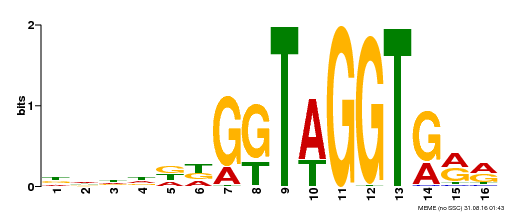 Motif logo