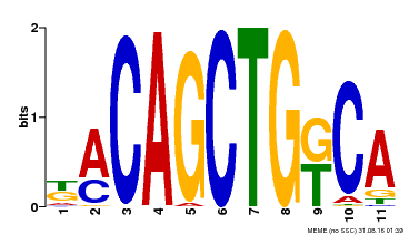 Motif logo