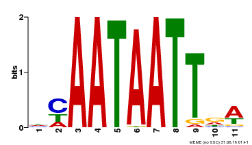 Motif logo