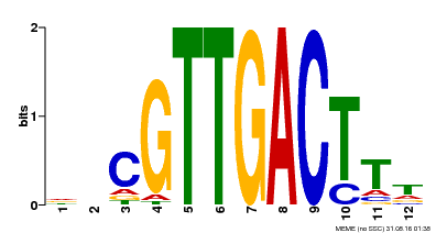 Motif logo
