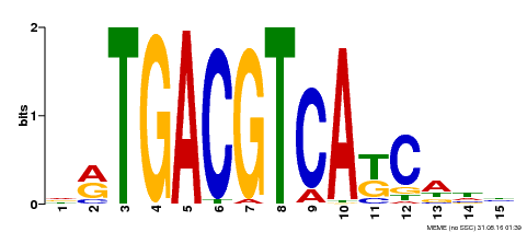 Motif logo
